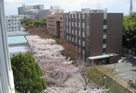 日本法政大学大学难考吗 腾讯新闻