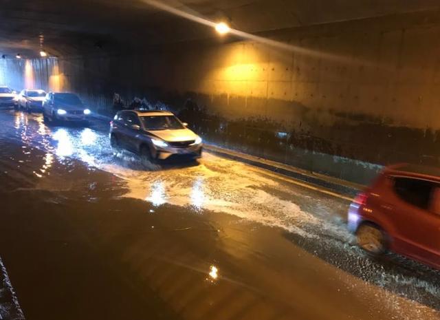 西宁周边的花海排名_最全最新!2020青海省各地花海马上要开了!20个绝美之