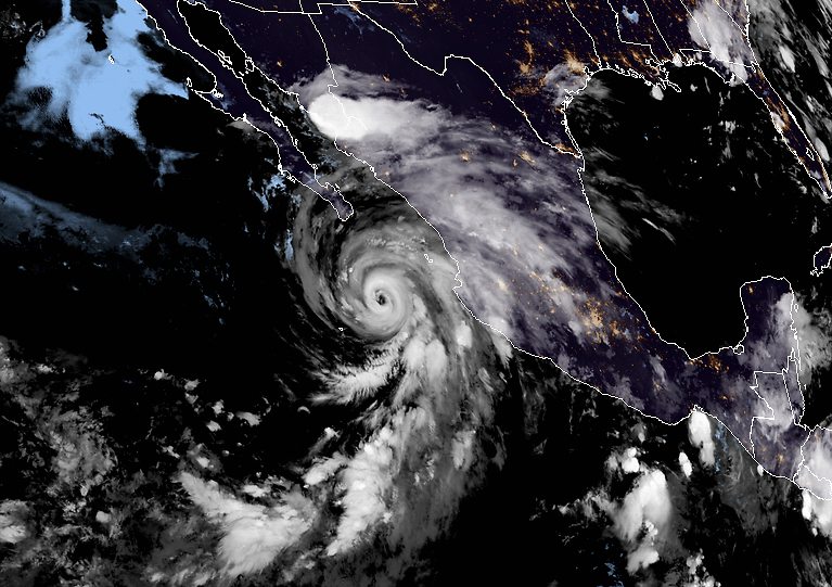 91w生成又是7胚胎共舞强台风开始影响北美新风暴98l倒计时