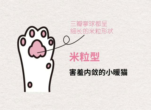 你家猫咪什么性格 铲屎官们看看猫的手相就知道 超准 猫咪 铲屎官 喵星人 肉垫 猫主子 米粒