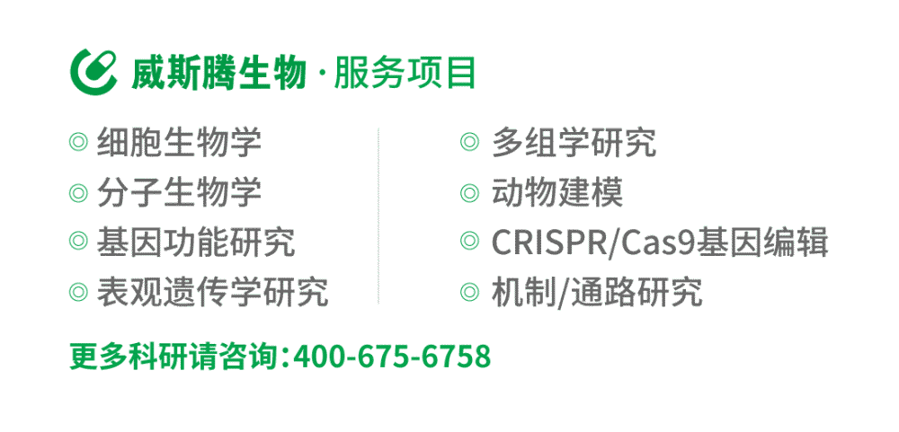 mirna|这项曾与诺奖失之交臂的发现，今年还会继续陪跑么？