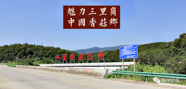 这里是随县三里岗 杨新美 吉祥寺村 贫困户 随县 三里岗镇 香菇