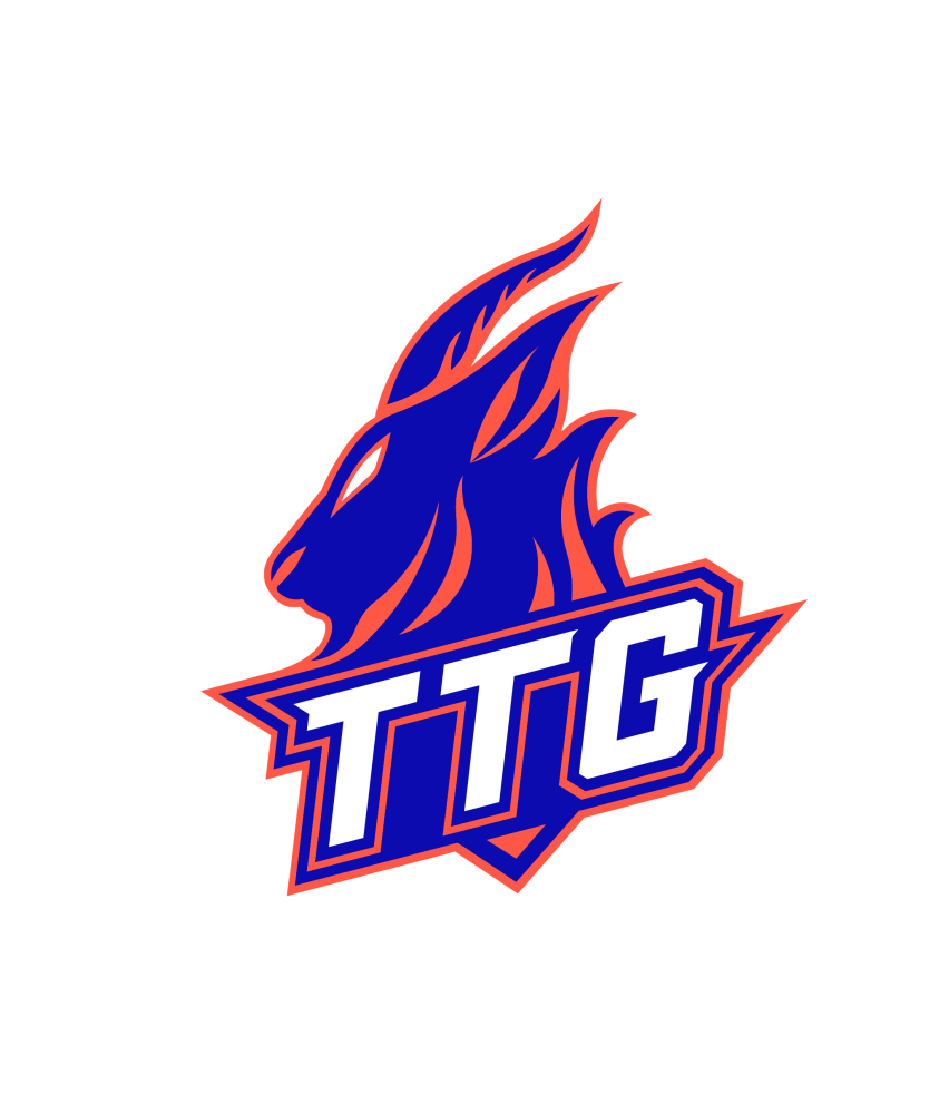 ttg.xq王者荣耀分部改名公告