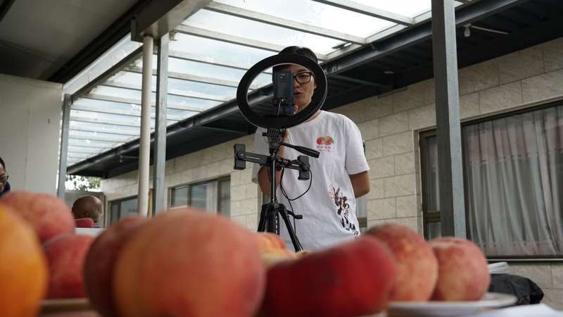 岳巧云|“桃二代”回乡创业，搭建互联网平台打造蜜桃事业“2.0”版