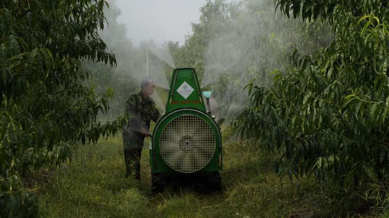 岳巧云|“桃二代”回乡创业，搭建互联网平台打造蜜桃事业“2.0”版