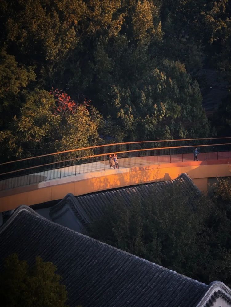 体育公园|MAD四合院幼儿园、衢州体育公园获得A＋Awards