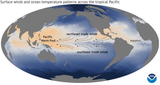 拉尼娜|青海、甘肃、云南、四川等地都降雪了！2020年拉尼娜真要来？