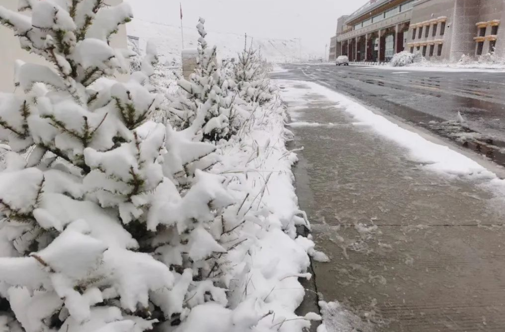 拉尼娜|青海、甘肃、云南、四川等地都降雪了！2020年拉尼娜真要来？