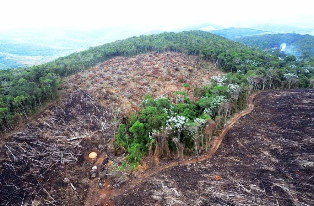 拉尼娜|青海、甘肃、云南、四川等地都降雪了！2020年拉尼娜真要来？