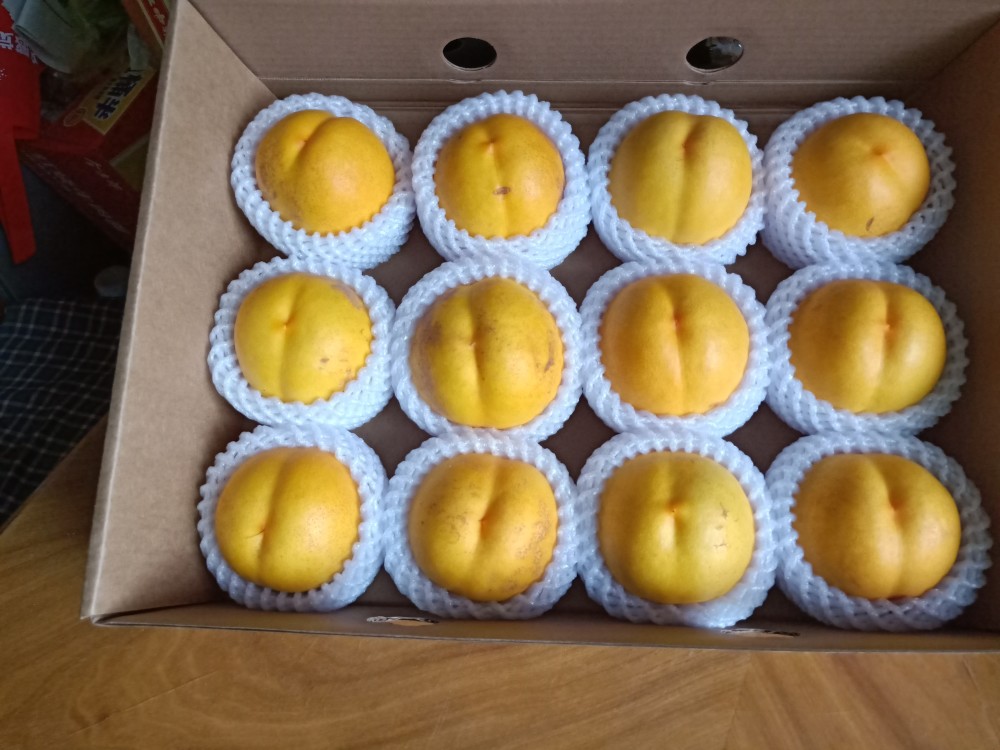 屈海全|桃王屈海全：36年种植“良心桃”，带动桃农共同致富