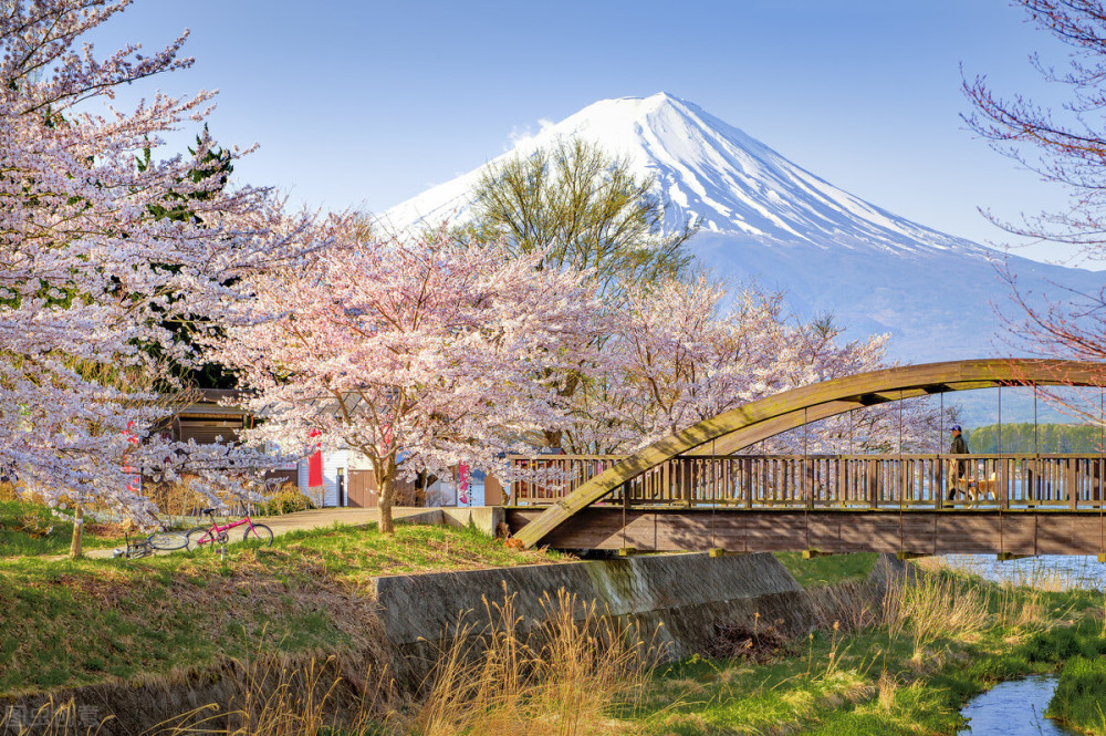 大学(shindai,略称新大)(s)滋贺大学(shiga)(s)静冈大学(shizuoka)(s