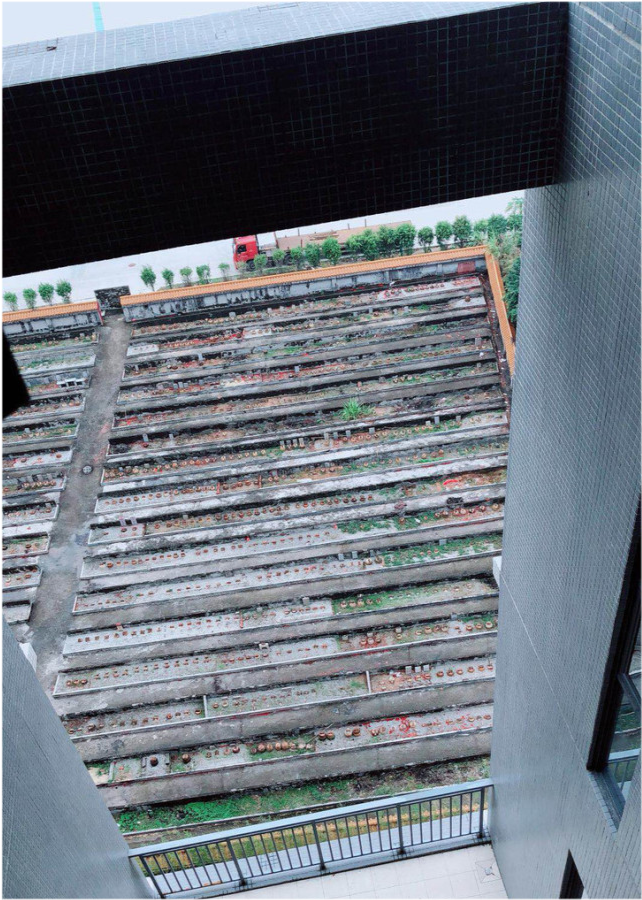 除了海景房,湖景房……还有一种"墓景房"