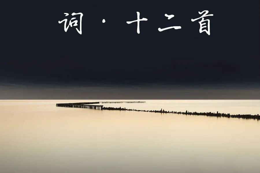 行香子·秋|揽星光入墨，数寂寞晨风