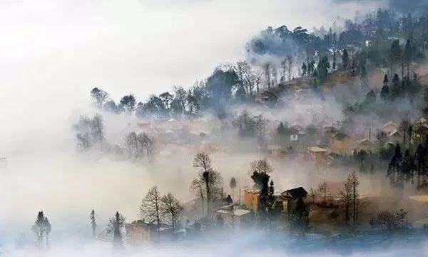 行香子·秋|揽星光入墨，数寂寞晨风