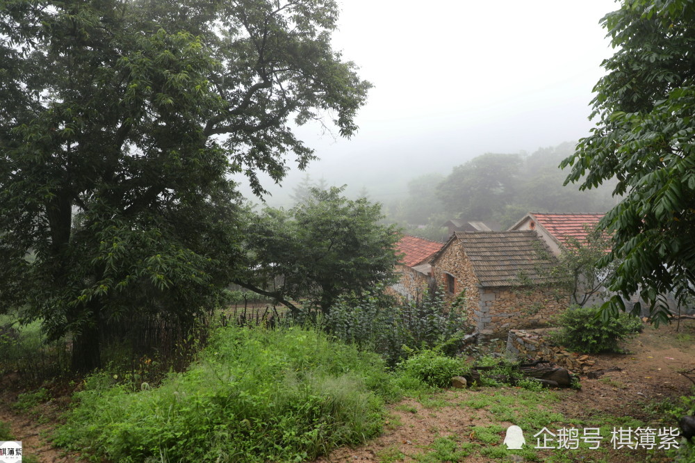 百岁村|辽东另类百岁村，最老的板栗树250年，远离尘世几乎被“遗忘”