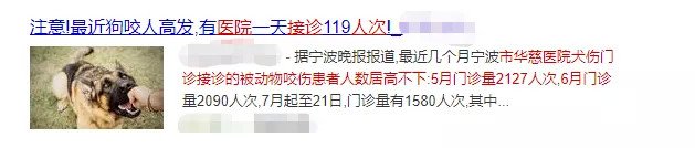 狂犬病毒|夏季高发！这种病致死率几乎100％！预防手段只有一种…