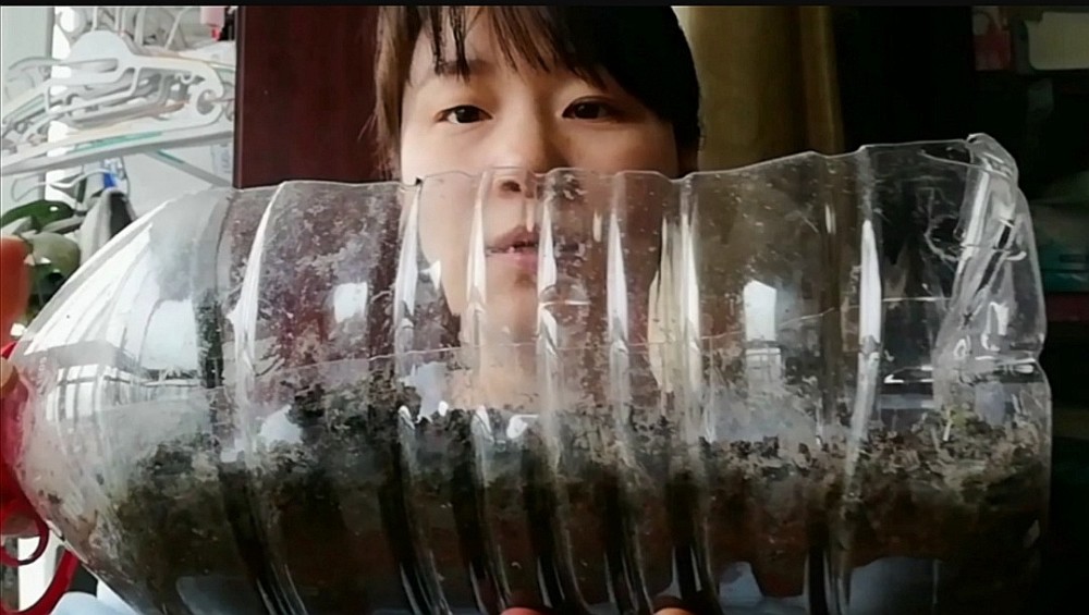 变废为宝:废弃矿泉水瓶用处大,简单一步,方便实用又省钱!