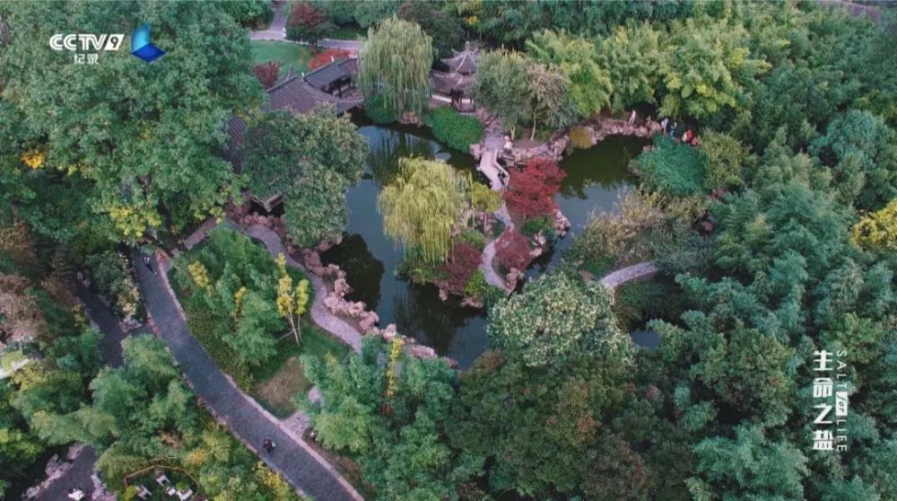 生命之盐|盘中微粒背后的极致财富 22：00【生命之盐 4】