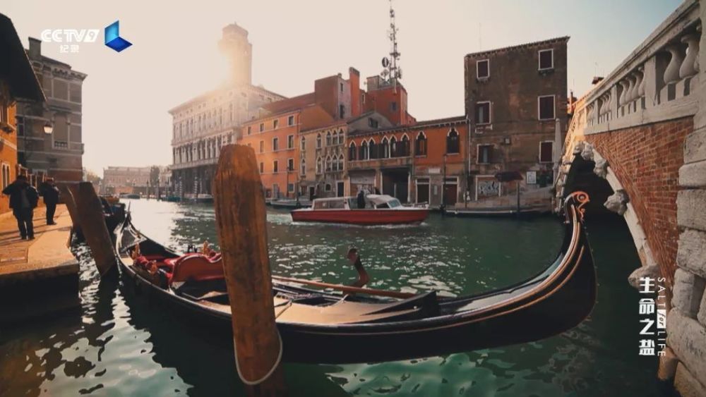 生命之盐|盘中微粒背后的极致财富 22：00【生命之盐 4】