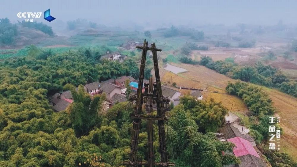 生命之盐|盘中微粒背后的极致财富 22：00【生命之盐 4】