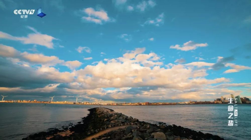 生命之盐|盘中微粒背后的极致财富 22：00【生命之盐 4】