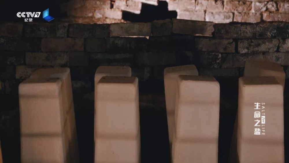 生命之盐|盘中微粒背后的极致财富 22：00【生命之盐 4】