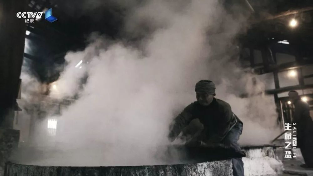 生命之盐|盘中微粒背后的极致财富 22：00【生命之盐 4】