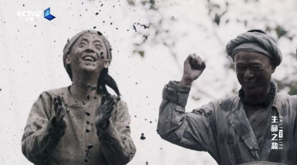 生命之盐|盘中微粒背后的极致财富 22：00【生命之盐 4】