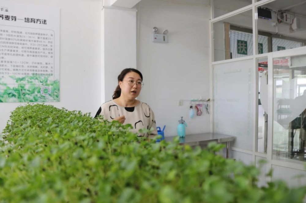 通州区|产业造血、消费驱动 通州 “双链条”扶贫，助赢京蒙脱贫攻坚战