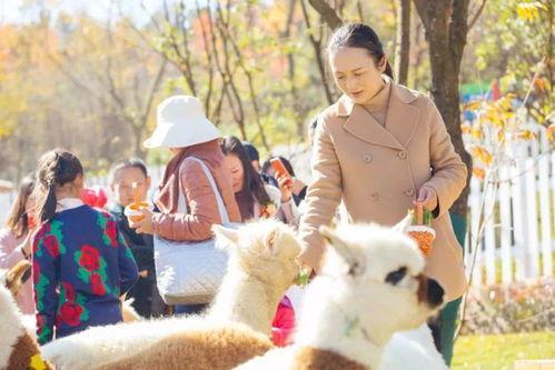 国内第一家萌宠主题乐园，门票便宜，媲美上海动物园