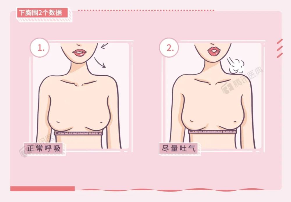 中国女人的胸 竟然全世界最小 腾讯新闻