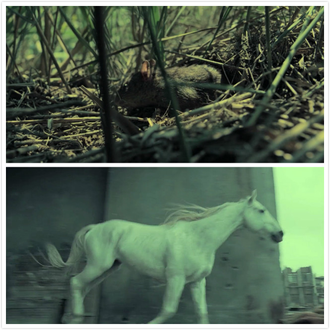 白马皮影戏赵子龙八佰超现实主义镜头有何深意