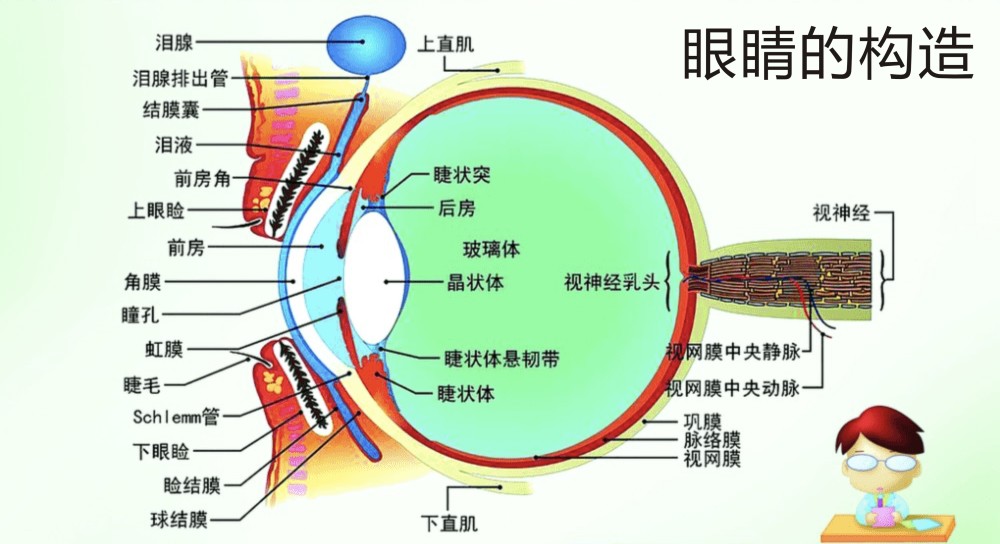 达尔文|人到底是从哪里来的？来看看达尔文的进化论有哪些漏洞