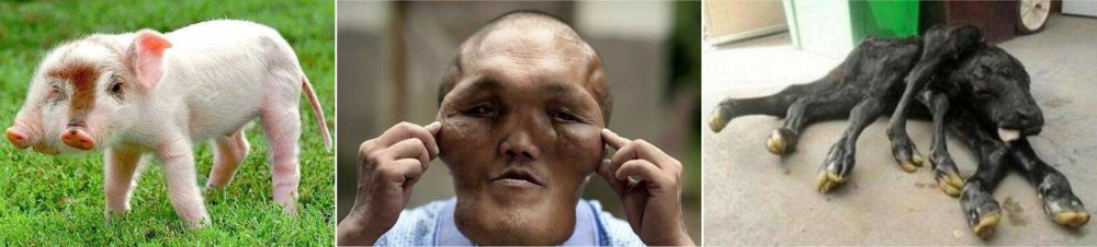 达尔文|人到底是从哪里来的？来看看达尔文的进化论有哪些漏洞