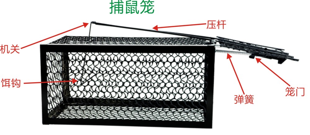 人到底是从哪里来的来看看达尔文的进化论有哪些漏洞