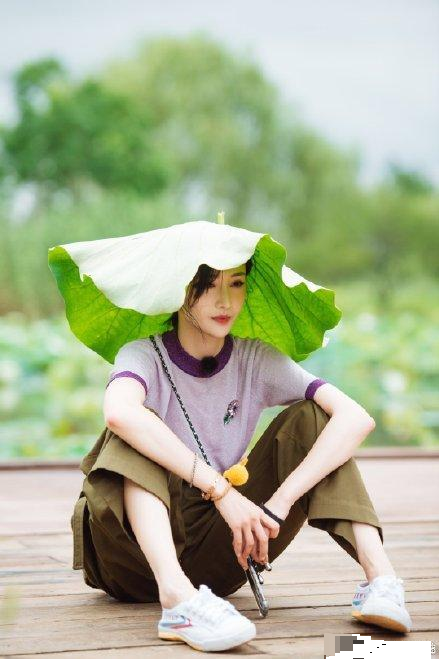 郑爽|郑爽自称太懂事被众嘲，圈内众人却力挺，还称赞她太智慧