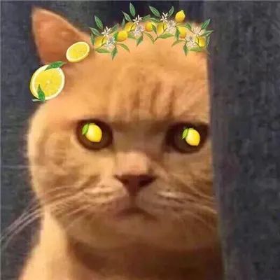 王鹤棣|长了一张“花心”脸，没想到他们内心还挺痴情的？