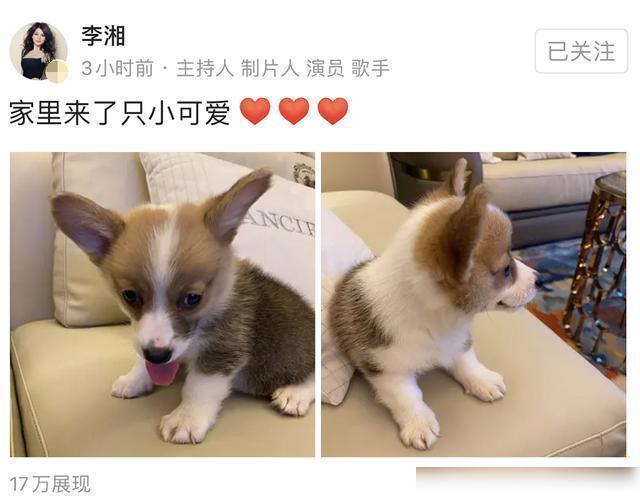 王岳伦|王岳伦搂腰壁咚引起风波，发文表白李湘王诗龄，李湘回复3个表情