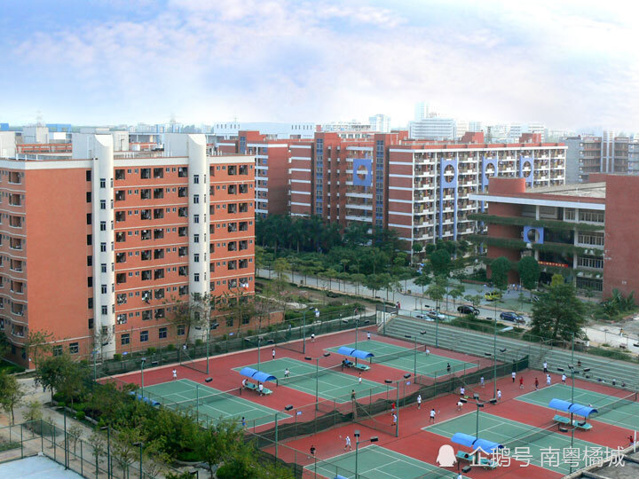湛江市大学排名2020_喜报!2020年高考湛江这所学校再创新纪录!