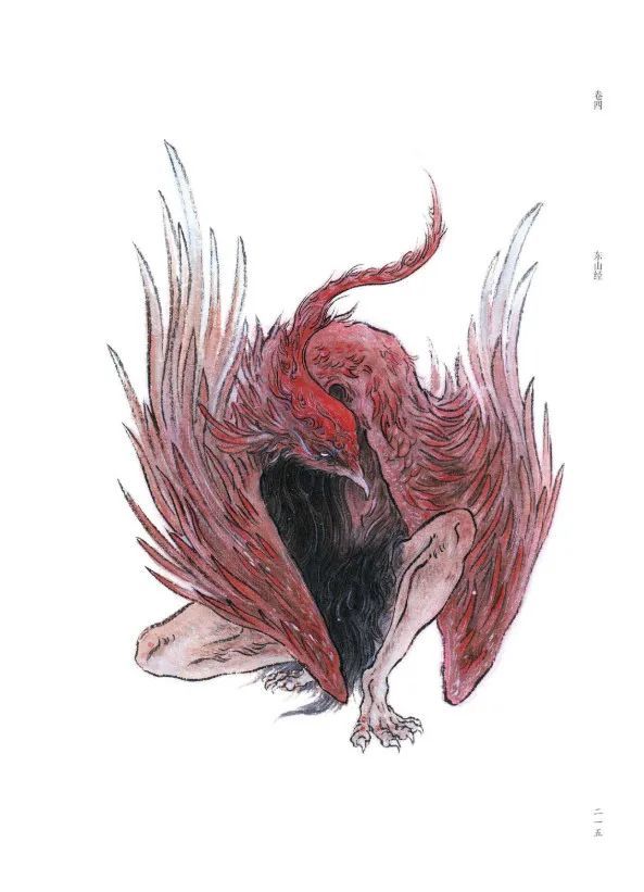 《山海经·鹙鹕》|鹈鹕