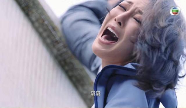tvb|出道即获力捧，与多位TVB视帝合作，新剧上位做女一号