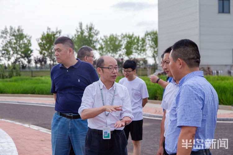 海水稻|争分夺秒向盐碱地要粮！记者直击海水稻杂交实验现场，高温天里稻花香