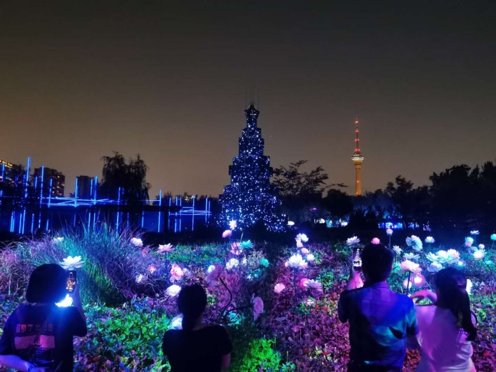 玉渊潭开启16小时超长逛园!来体验户外灯光秀吧