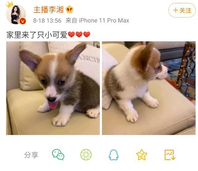 李湘|王岳伦爆出壁咚事件三天后，李湘疑似回应：有一种女人不需要同情