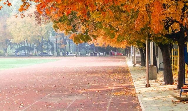 211大学|北京这所211大学居然断档？分数降低超40分，考生：后悔没选