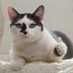 童星|“红过”，是童星逃不过的心酸