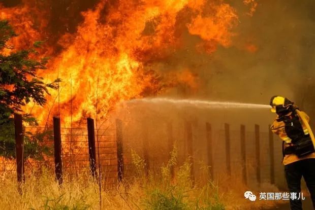 加州|加州野火肆虐空前灾难，川普却削减救济资金，因为加州反对他？