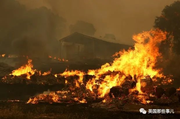 加州|加州野火肆虐空前灾难，川普却削减救济资金，因为加州反对他？