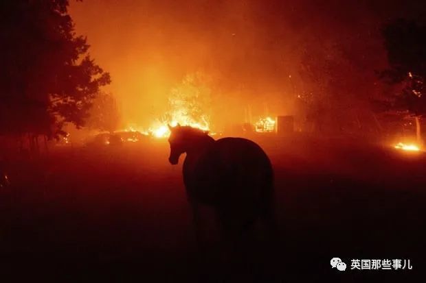 加州|加州野火肆虐空前灾难，川普却削减救济资金，因为加州反对他？