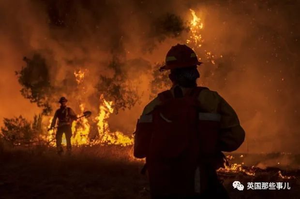 加州|加州野火肆虐空前灾难，川普却削减救济资金，因为加州反对他？